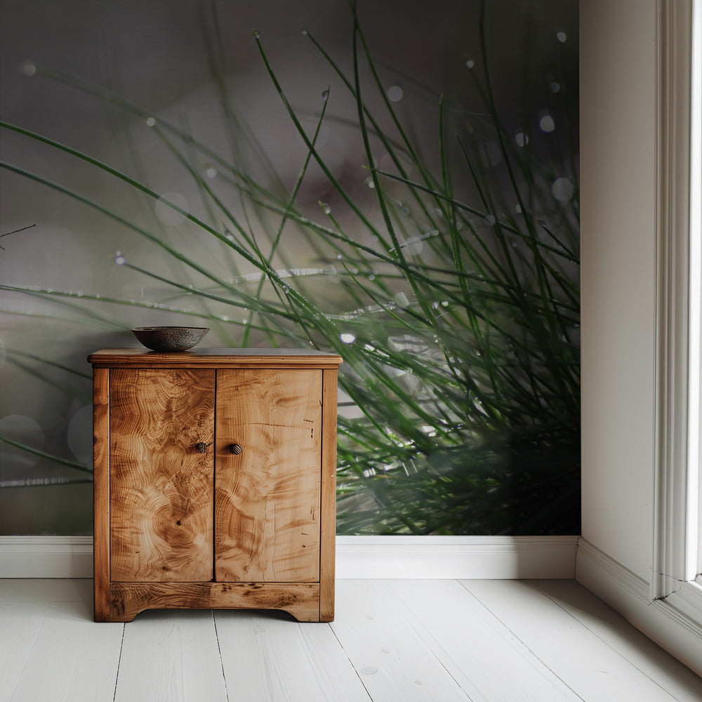 Imminent Landing | Wallpaper