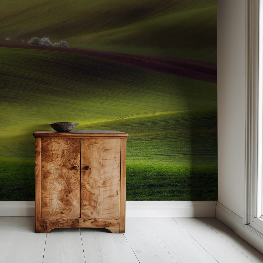 Golden fields | Wallpaper