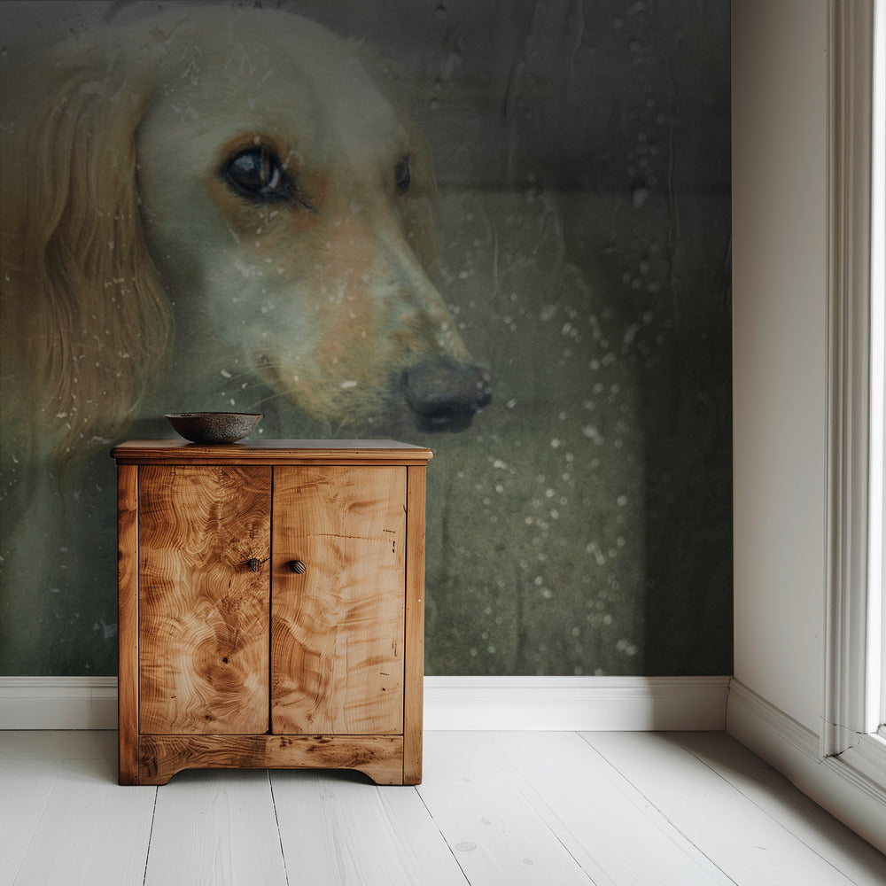 That autumn... | Wallpaper