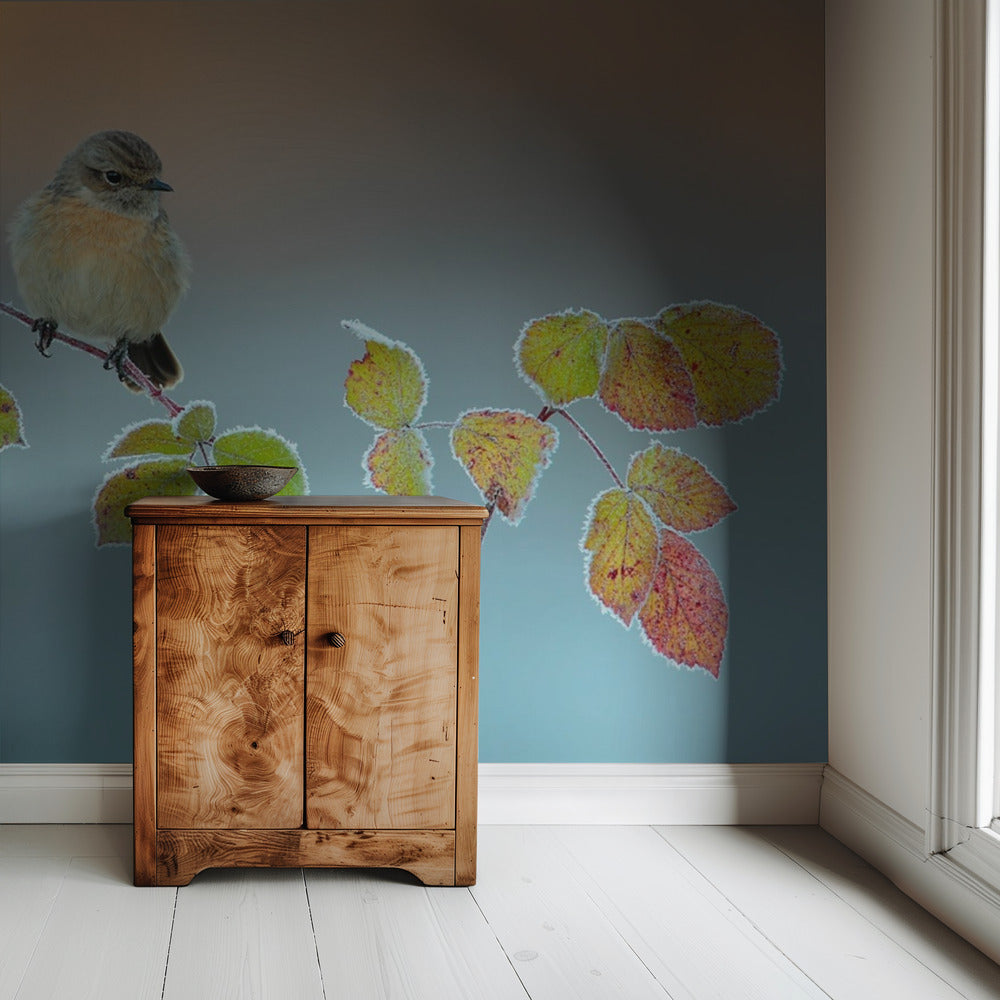 Winter colors | Wallpaper