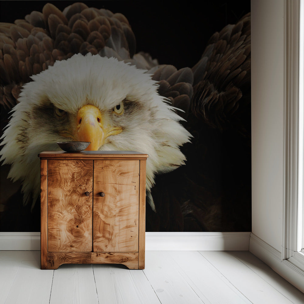 The Judge | Wallpaper