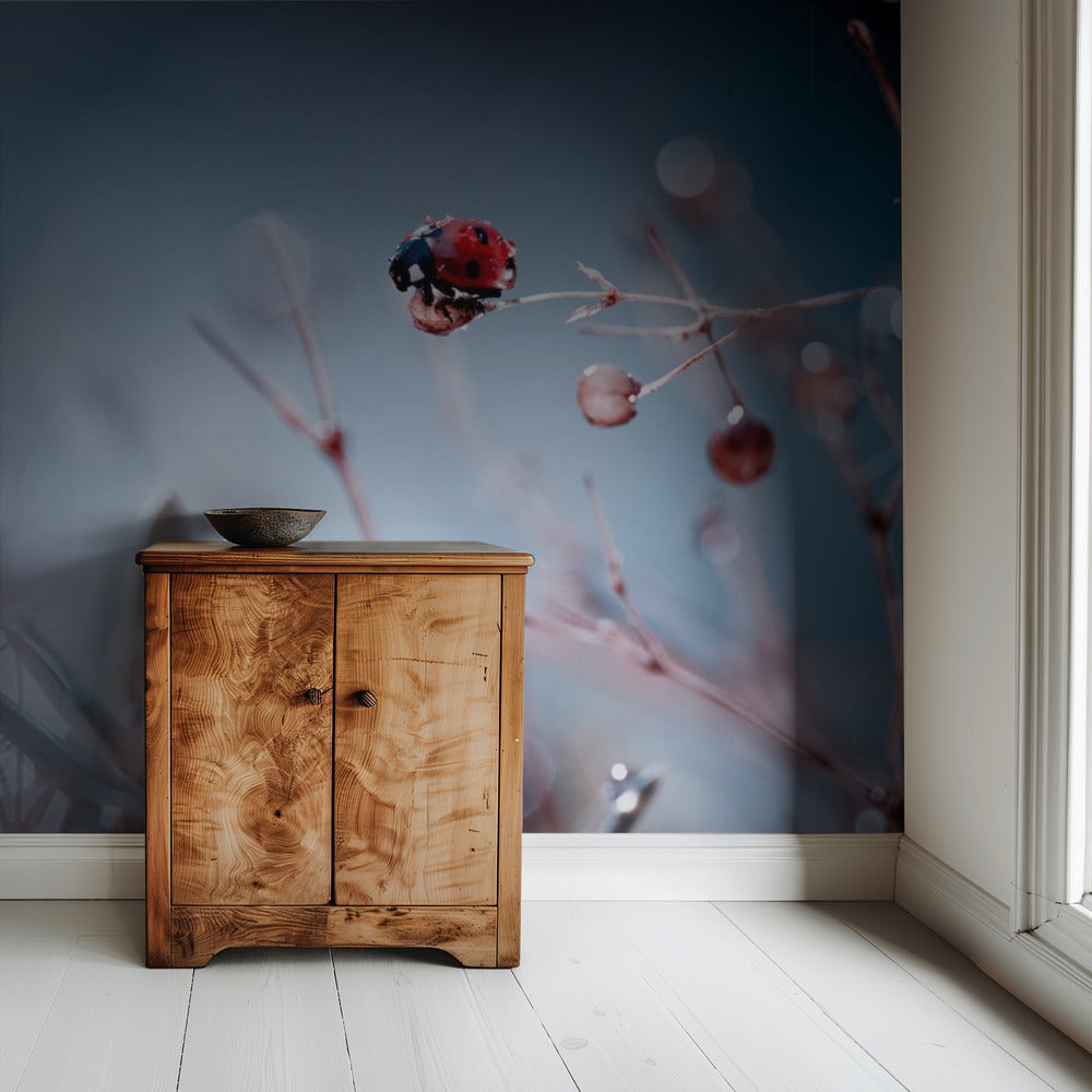 High Diving | Wallpaper