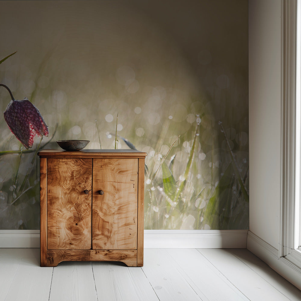 Morningdew | Wallpaper