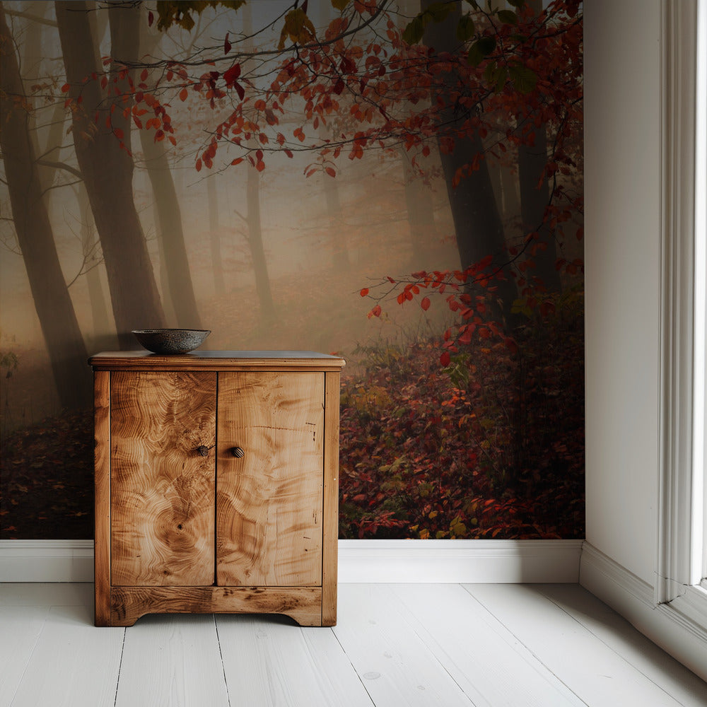 Towards the light. | Wallpaper