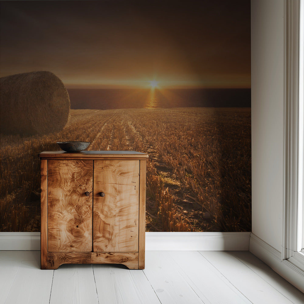 Gold Harvest | Wallpaper