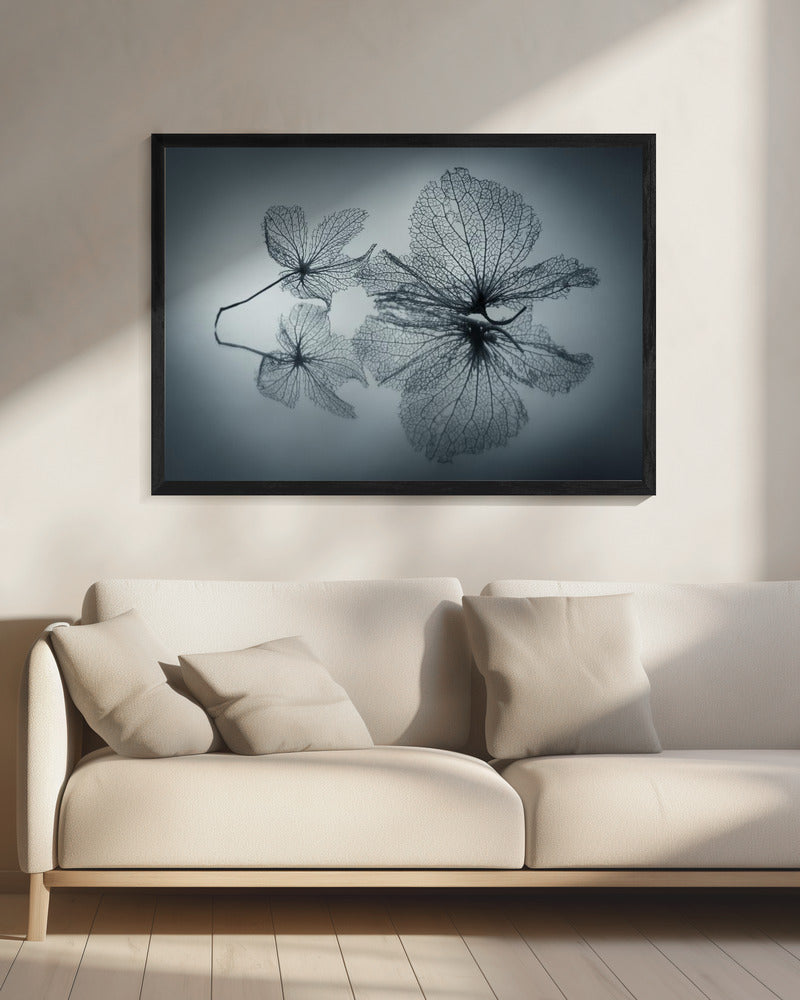 Ephemeral Beauty | Canvas