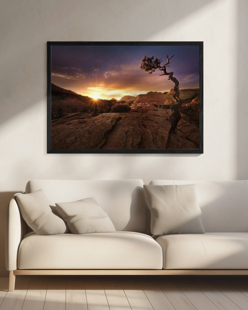 Distorted | Canvas