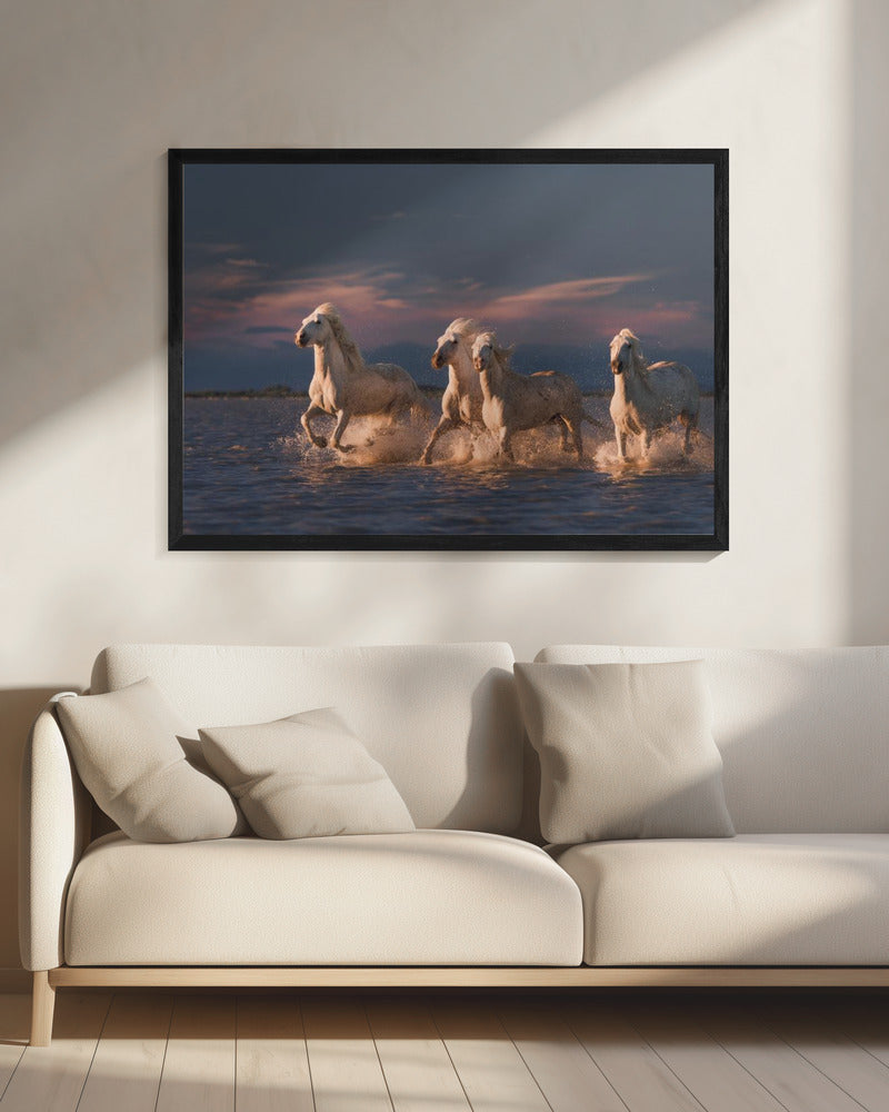 Angels of Camargue | Canvas
