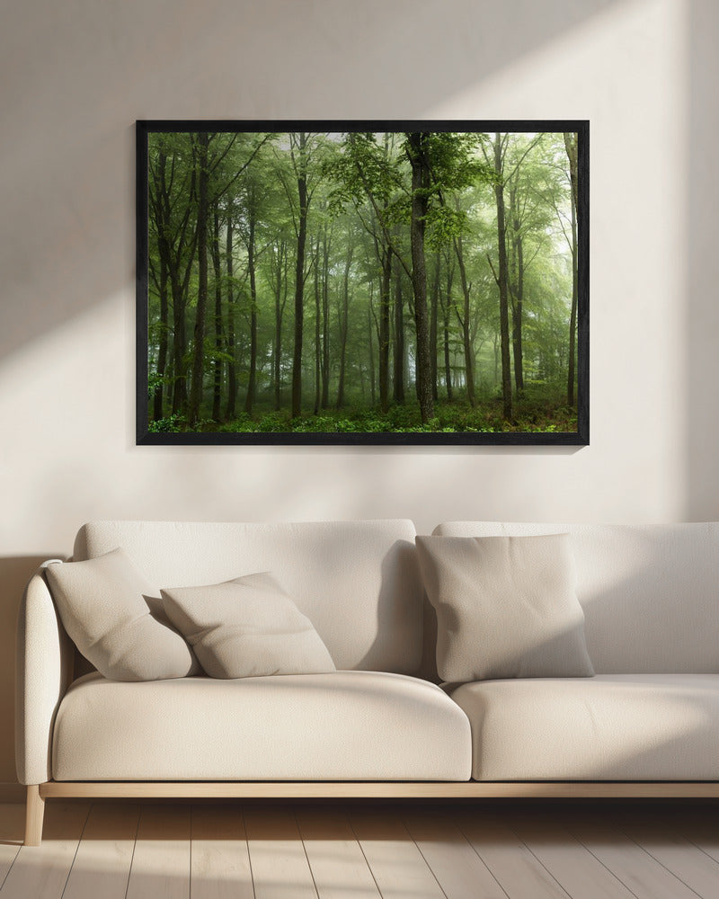 Forest... | Canvas