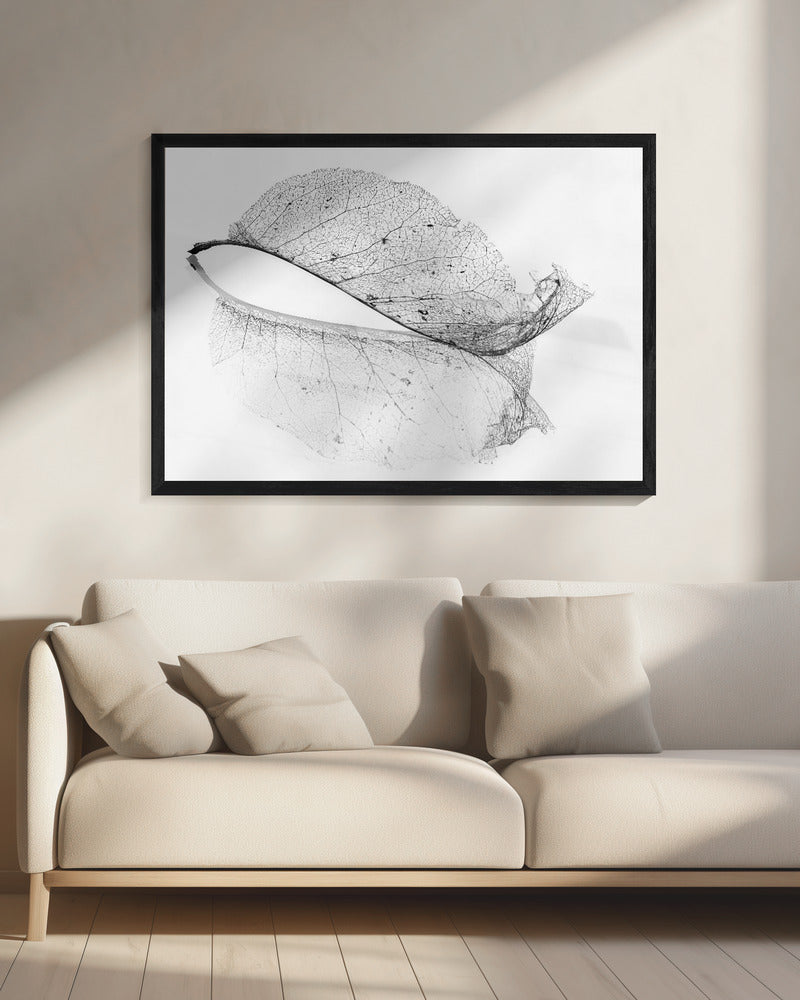 The old leaf | Canvas