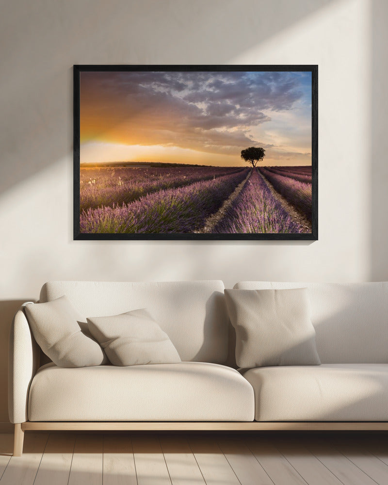 DESTINATION LAVENDER | Canvas