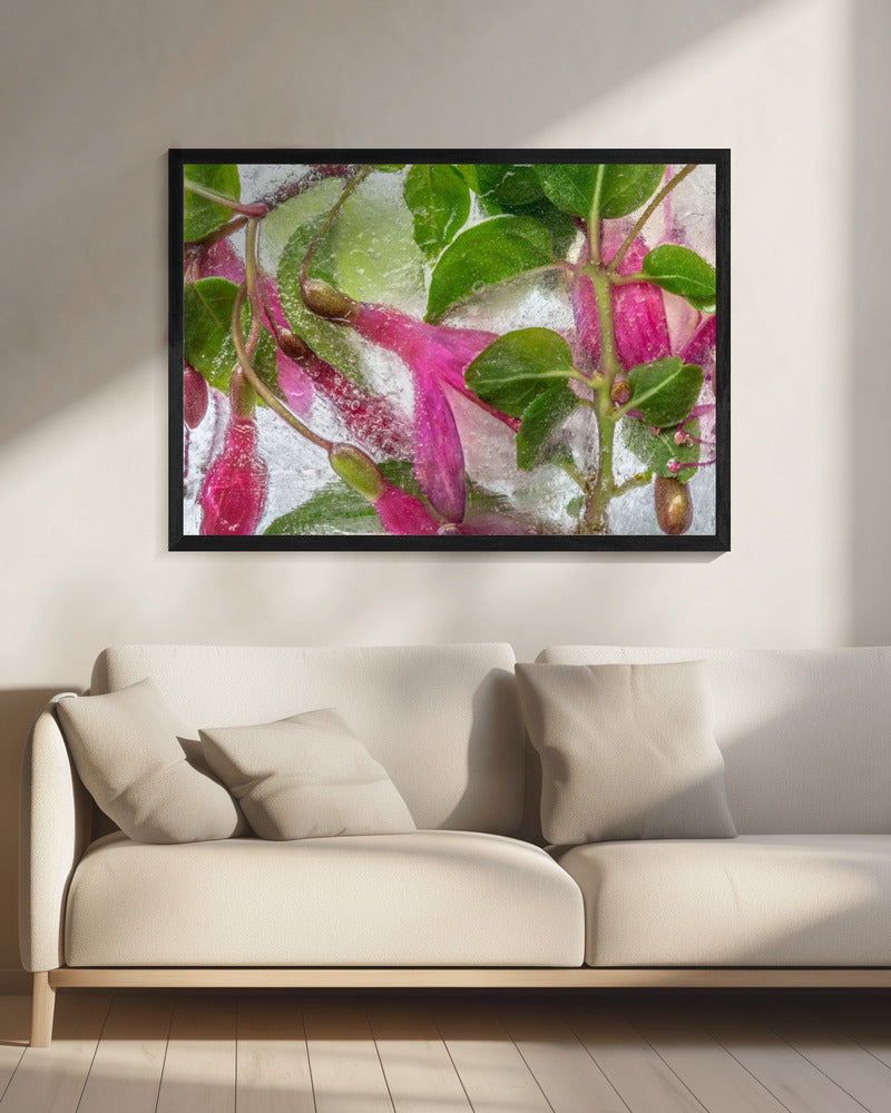 Fuchsia freeze | Canvas