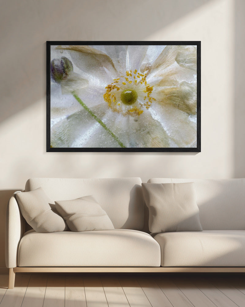 Floral freeze | Canvas