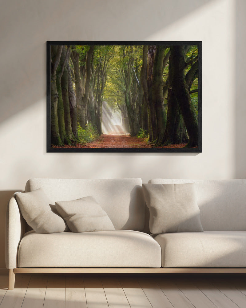 A Glorious Day | Canvas