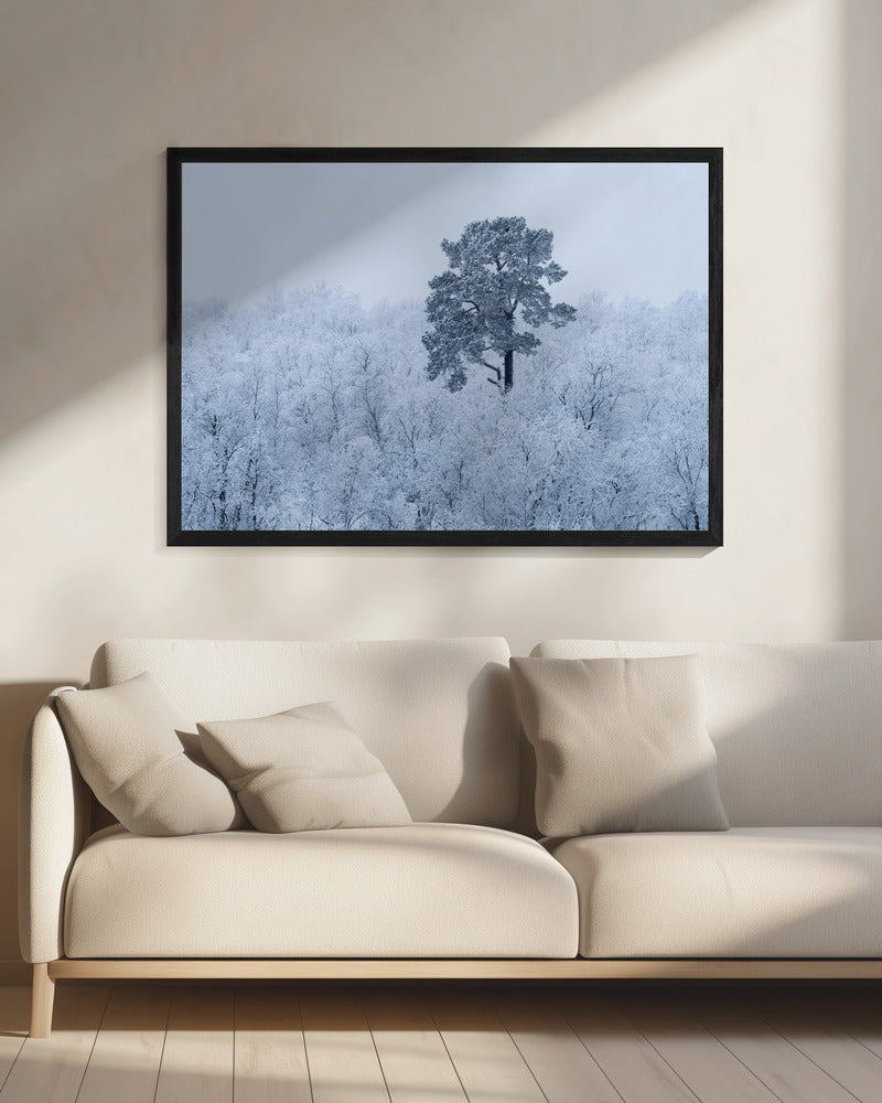First snow | Canvas