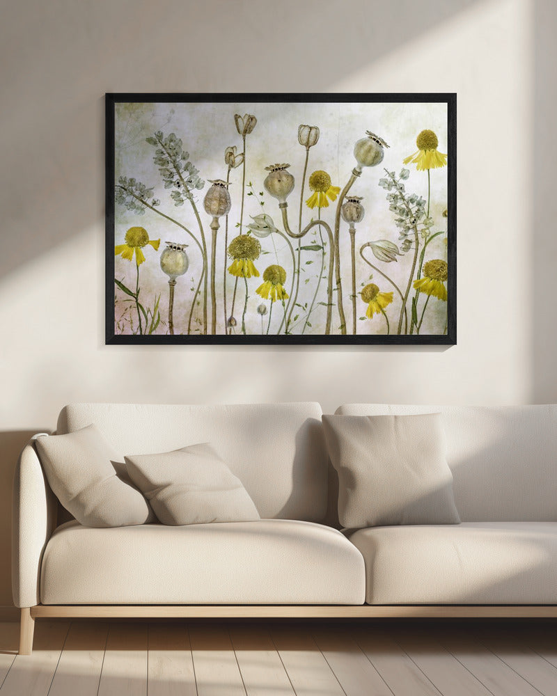 Poppies and Helenium | Canvas
