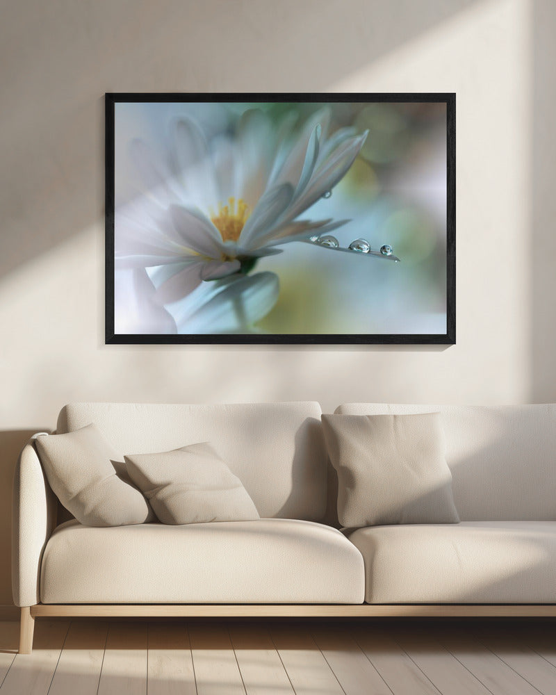 Light touch... | Canvas