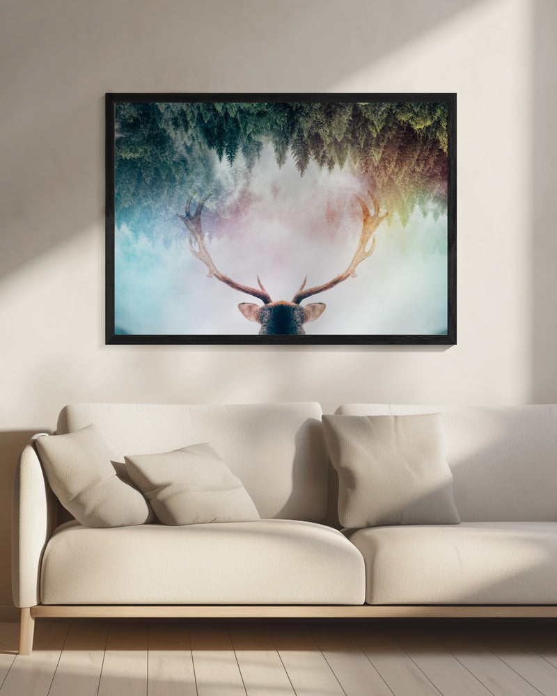 Antler | Canvas