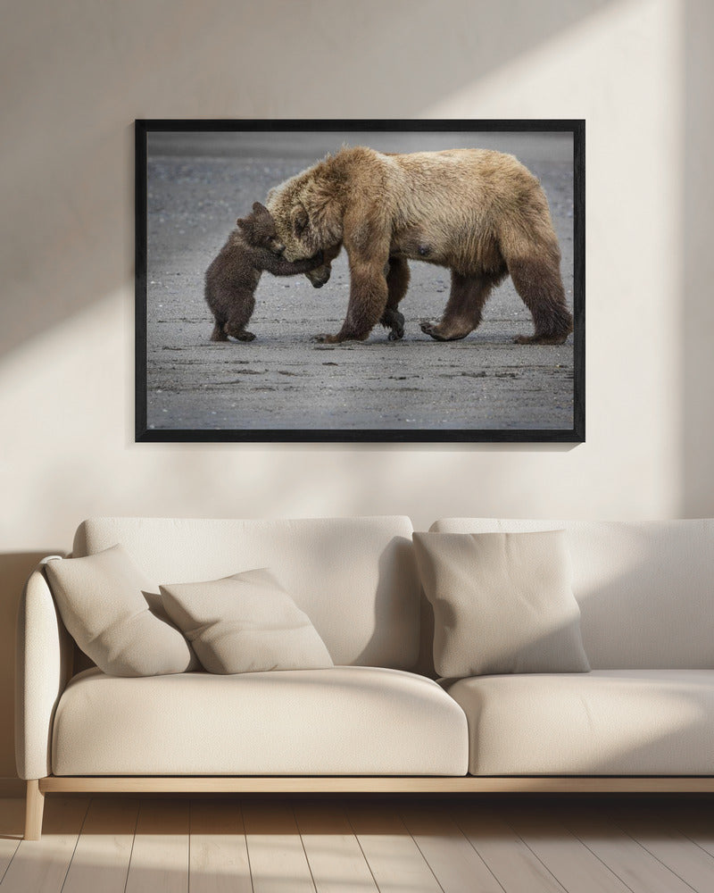 A Little Bear Hug | Canvas