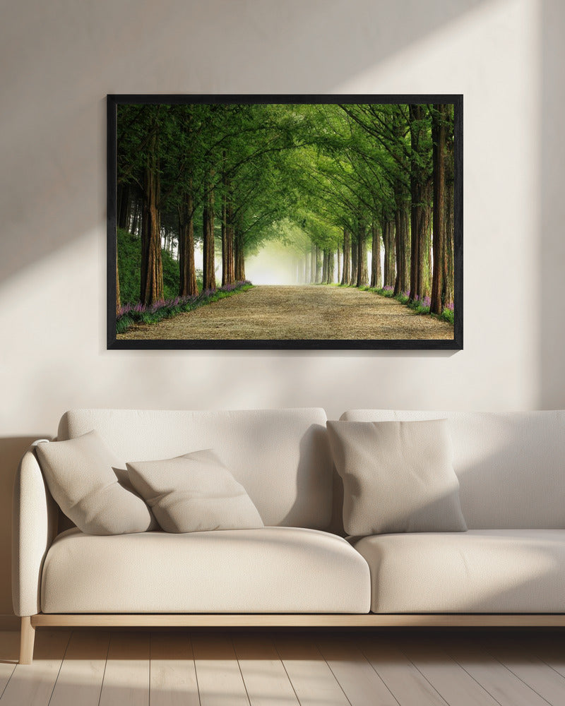 Metasequoia Road | Canvas