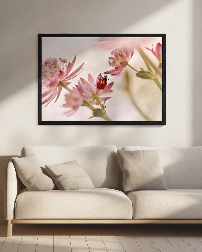 Ladybird and pink flowers | Canvas