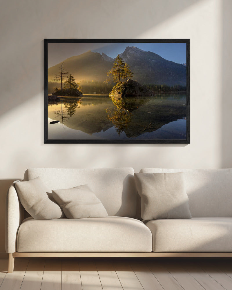 Golden Morning | Canvas