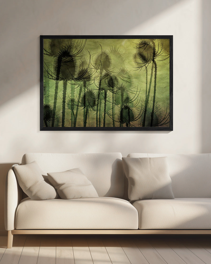 Wild Teasel | Canvas