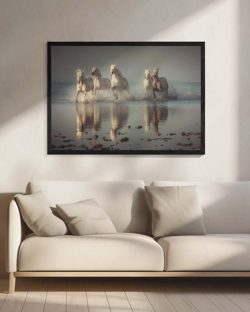Camargue Horses | Canvas