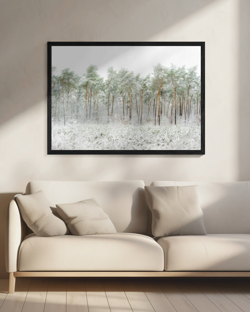 Snow world | Canvas