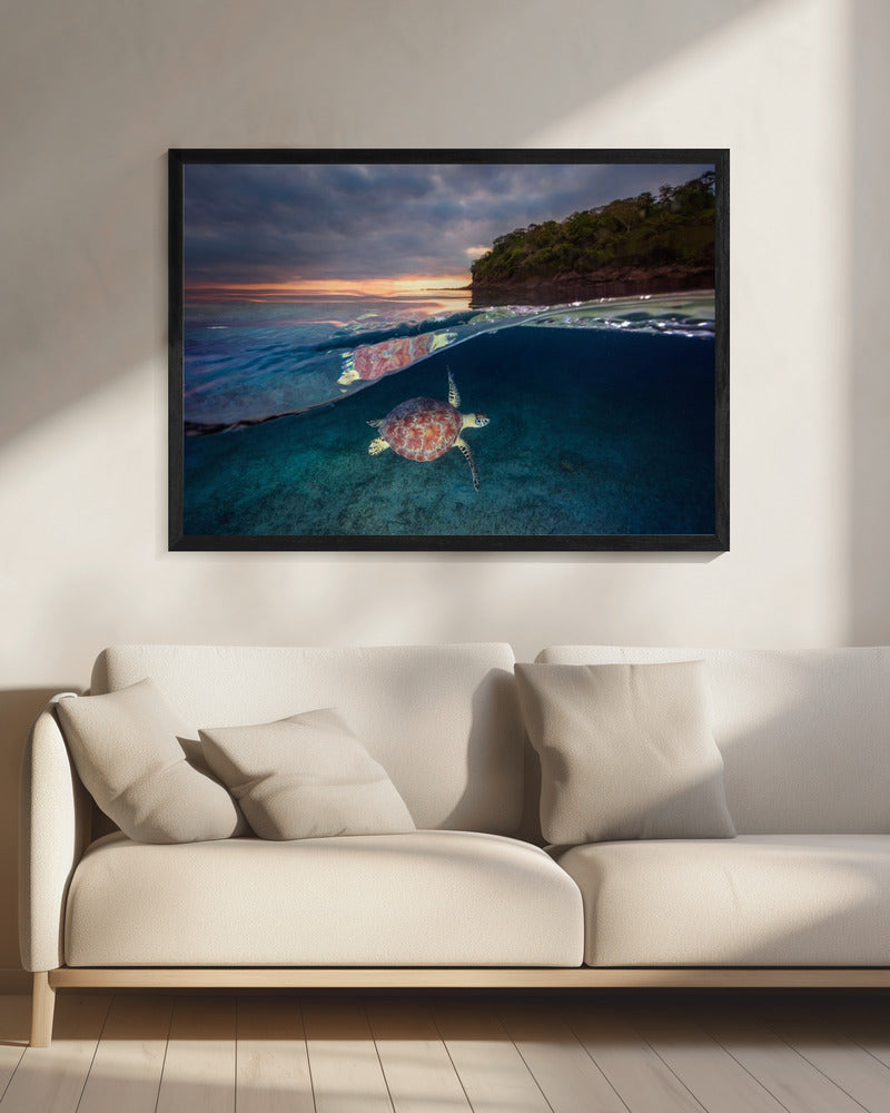 Green turtle with sunset | Canvas