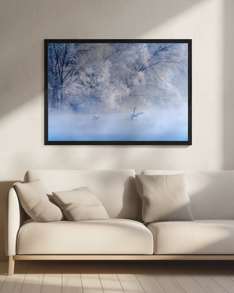Swan Lake | Canvas