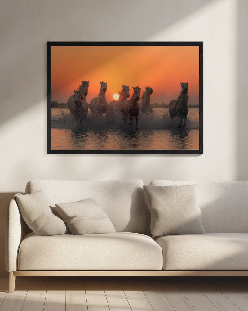Sunset in Camargue | Canvas