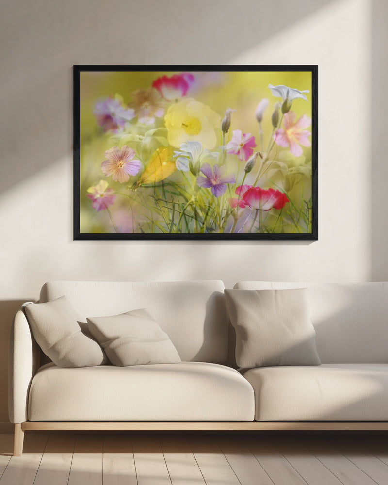 Tiny garden in a summer field | Canvas