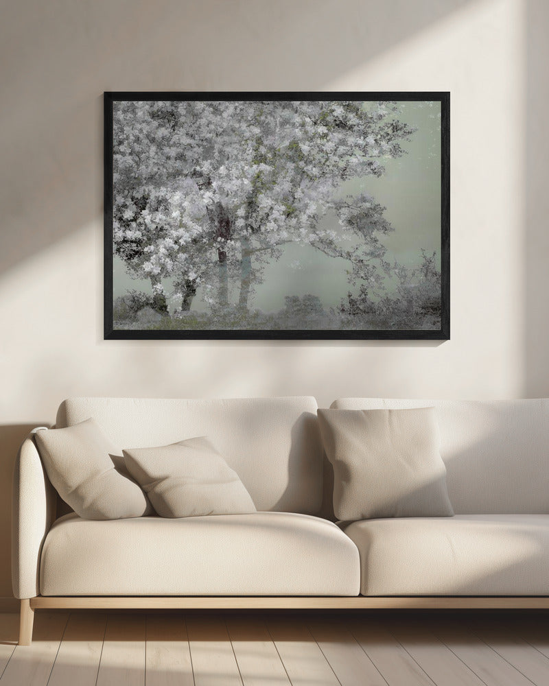 Spring | Canvas