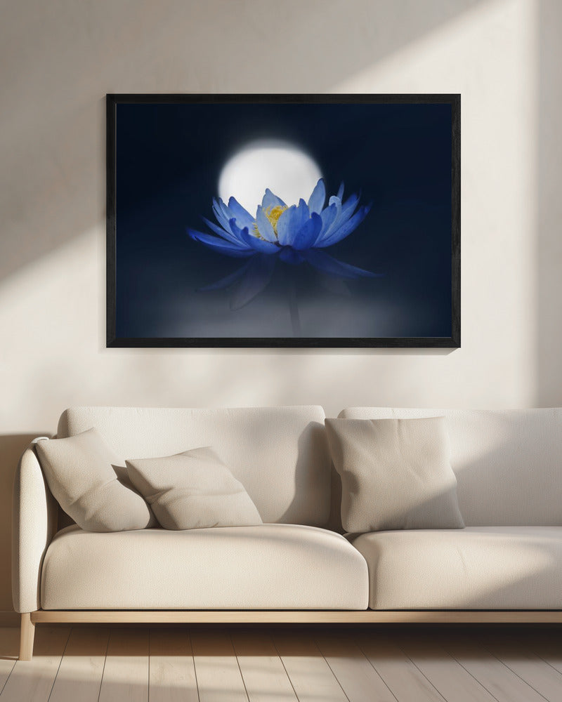 Fleeting dream | Canvas