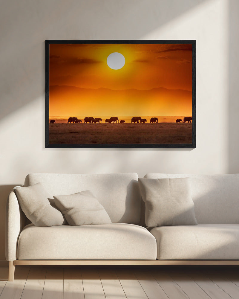 Sunrise parade | Canvas