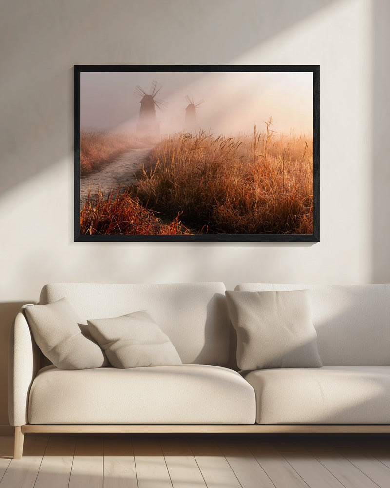 Morning mist | Canvas