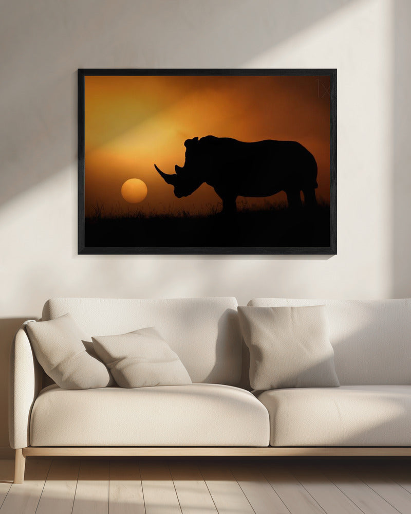Rhino Sunrise | Canvas