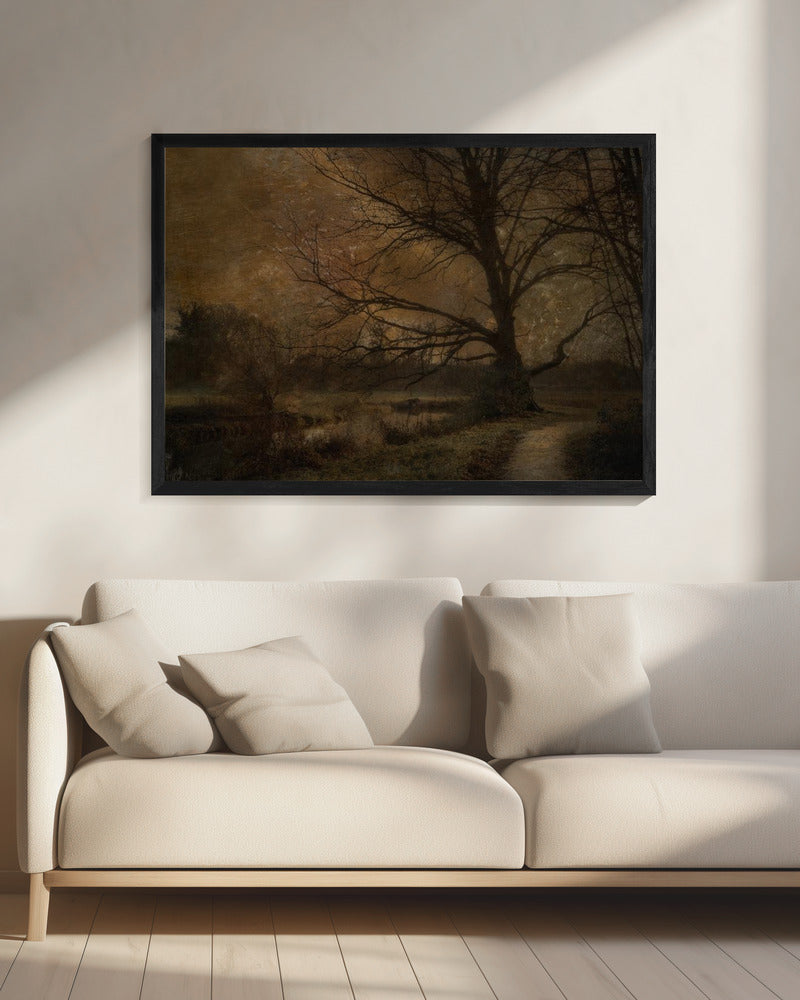 Old tree | Canvas