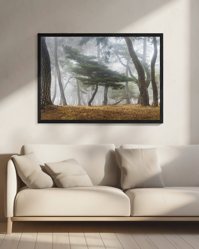 In The Misty Pine Forest | Canvas