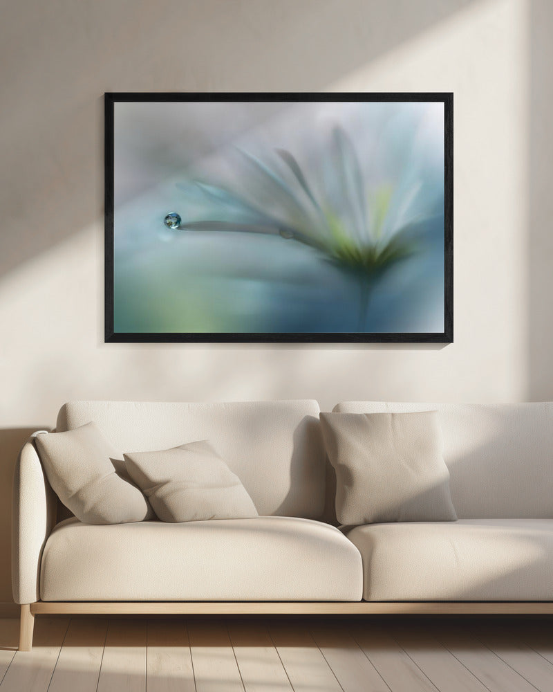 Fields of Hope.. | Canvas