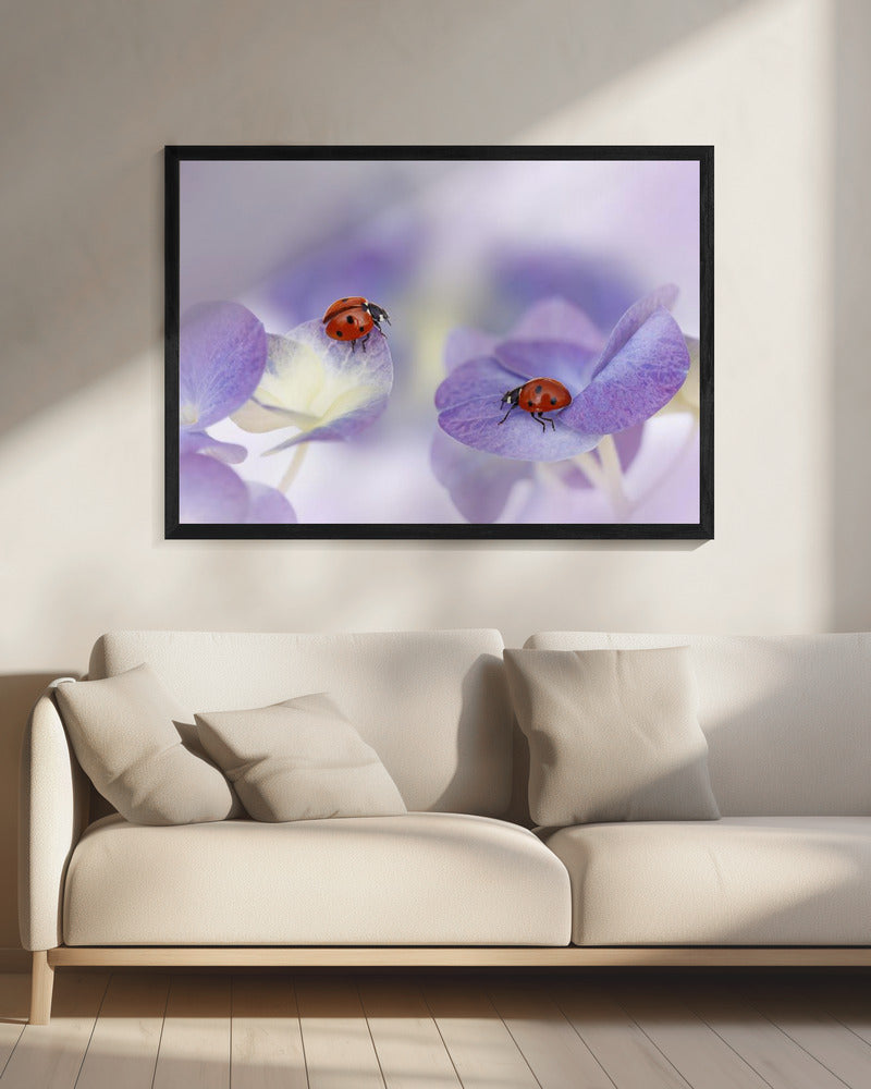 Red and purple | Canvas