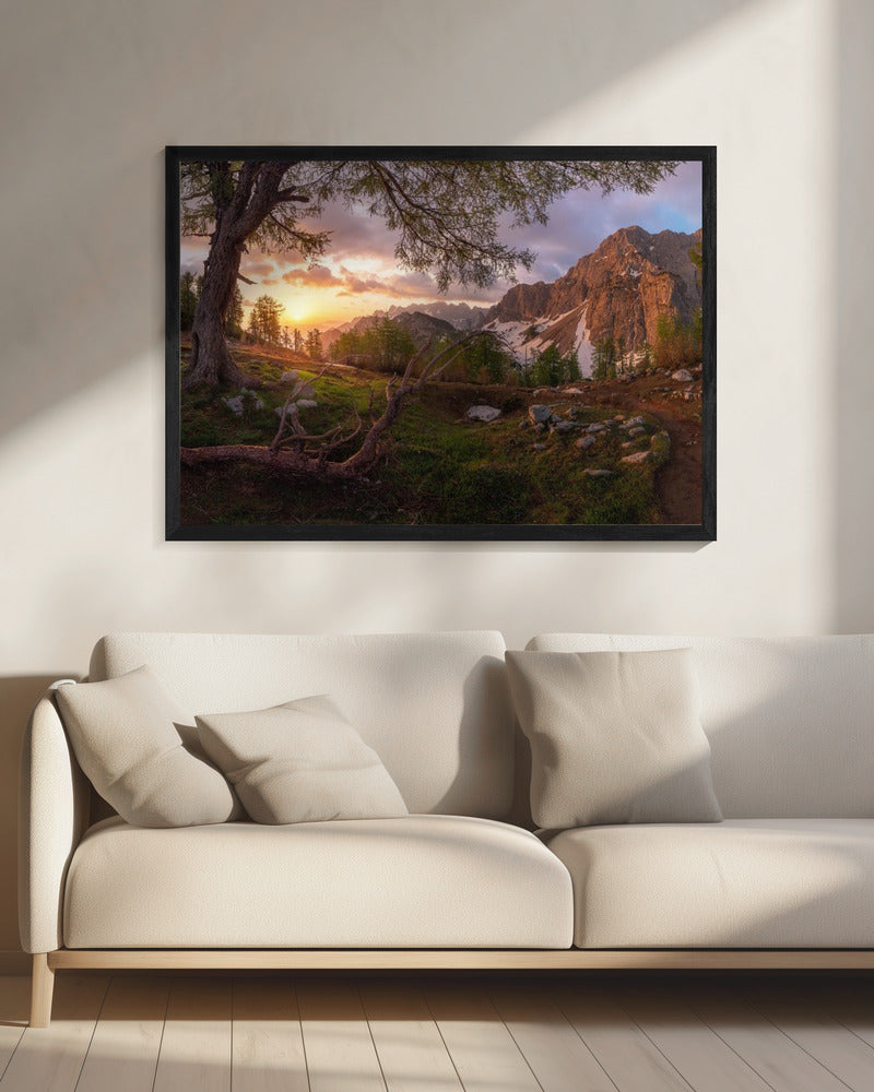 Magical morning | Canvas