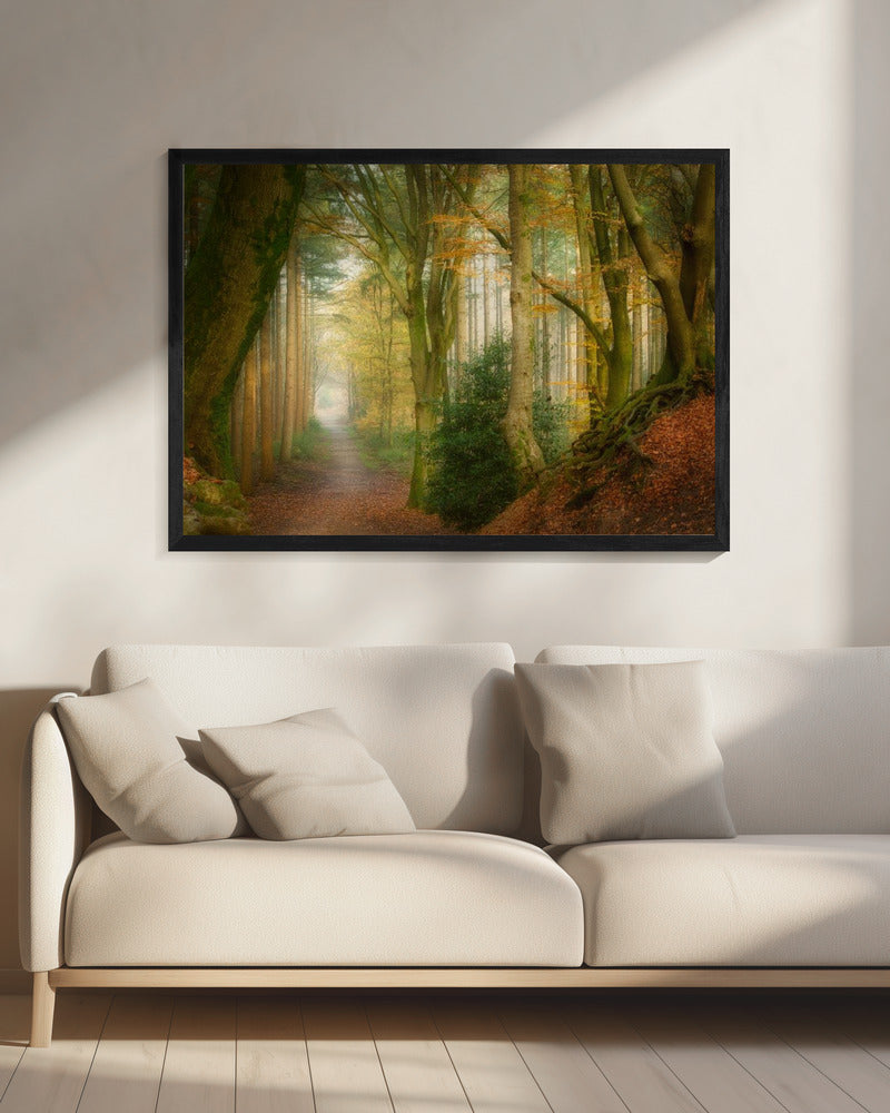 Following Fog | Canvas