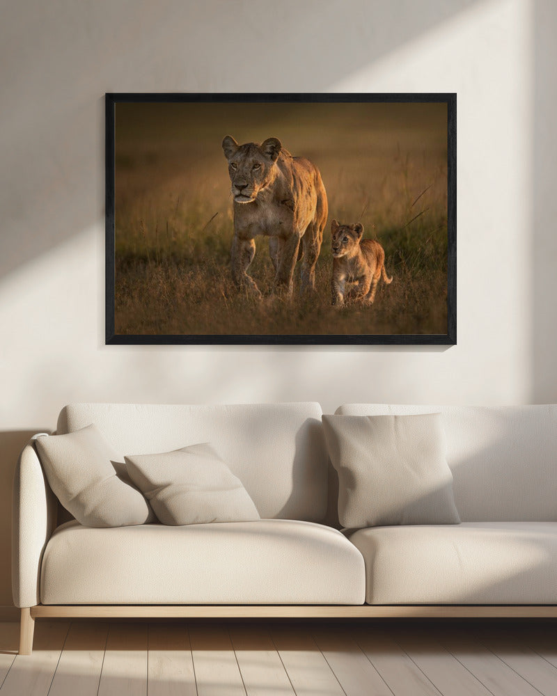 Mom lioness with cub | Canvas
