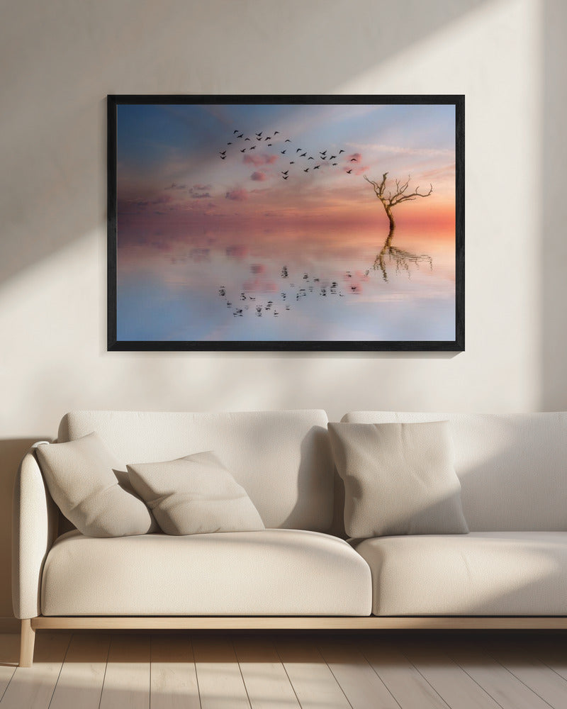 S.T. 006 | Canvas