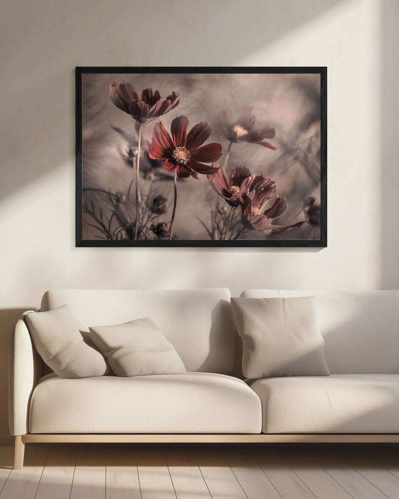 Cosmos 2019 | Canvas