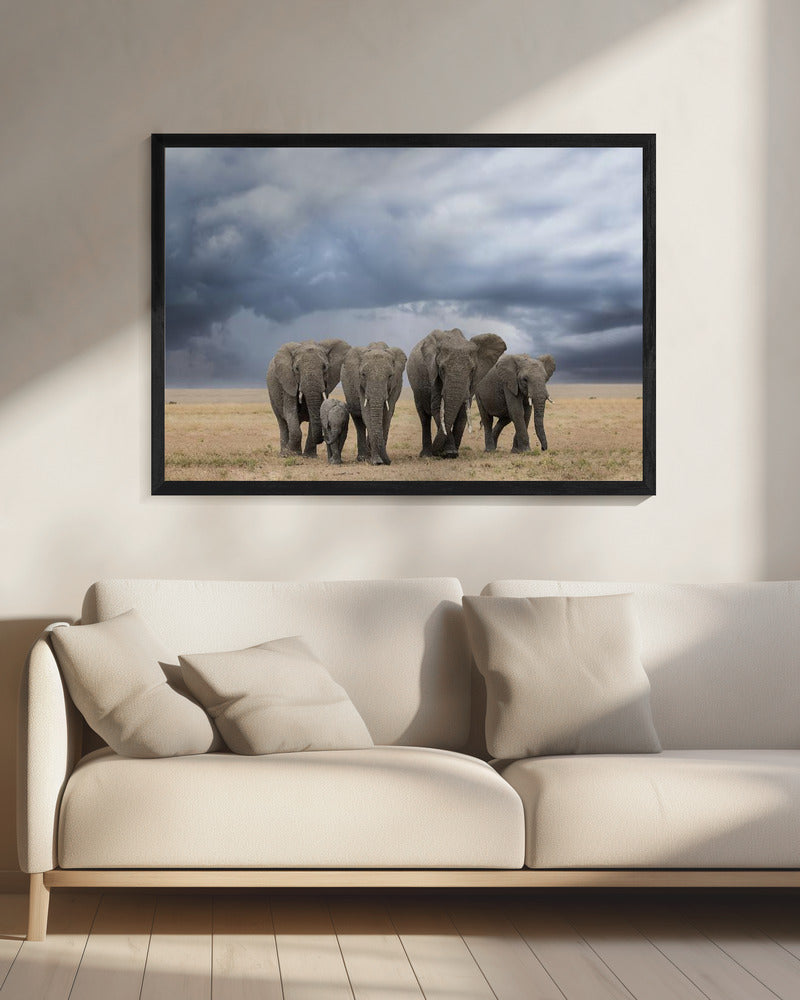 Elephant Walk | Canvas
