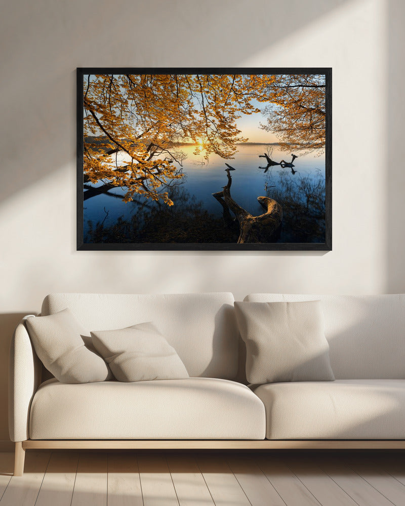 Autumn Morning | Canvas