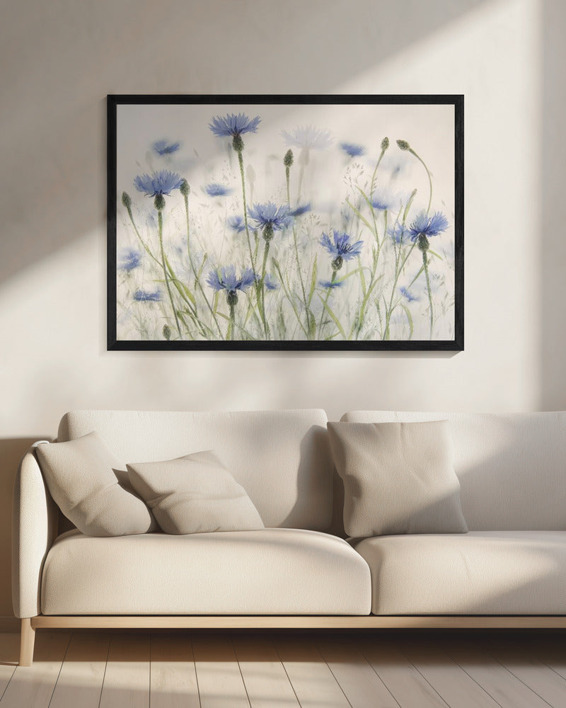 Cornflowers | Canvas